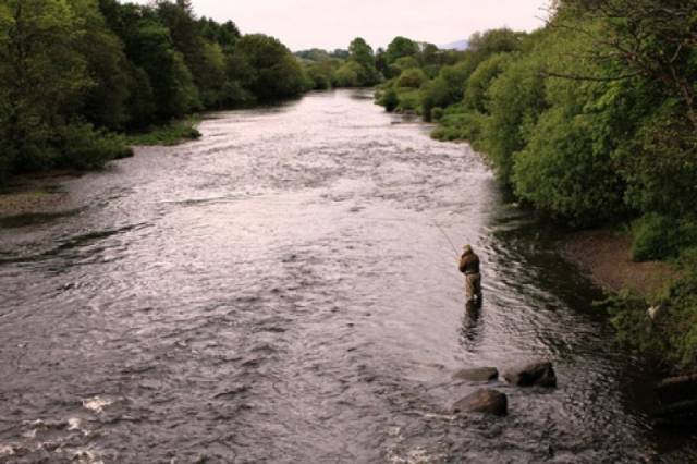 River Slaney Salmon Ban Angers Gorey Anglers