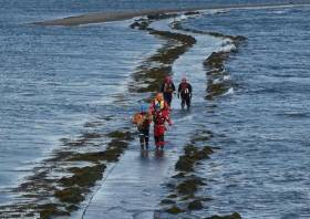 Coastguard volunteers carry the stranded dog back to dry land