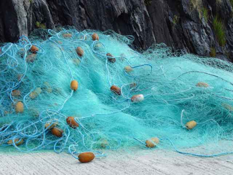 The Government is increasing minimum mesh sizes of fishing nets by 25% for EU trawler fleets