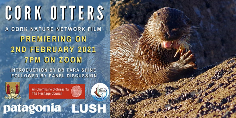 Short Film on Cork’s Otters to Have Online Premiere