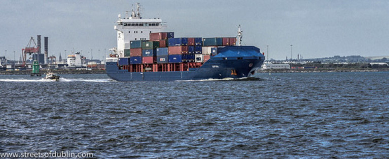 File image of a container ship at Dublin Port