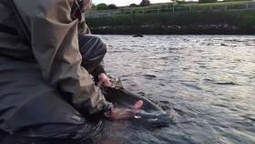 Catch and Release weekend to take place on Saturday 6th &amp; Sunday 7th of July 2019