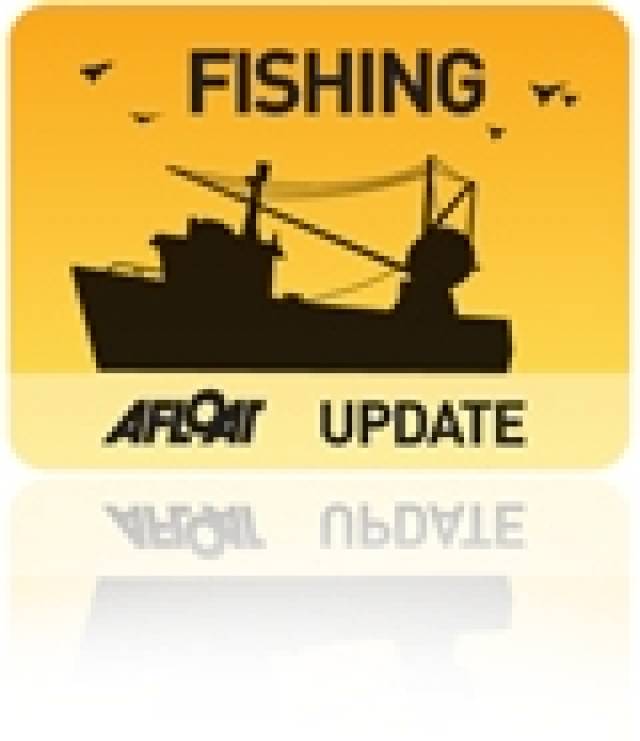 216,300 Tonnes of Fish Quotas Available to Irish Fishermen in 2013