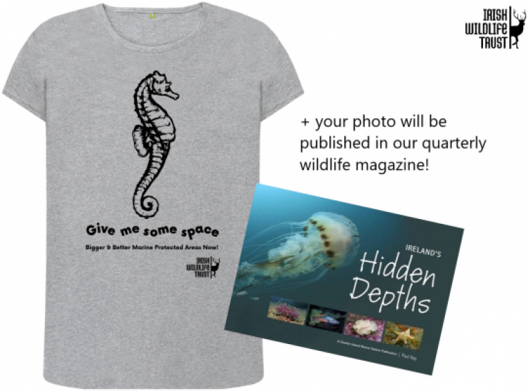 The photograph with the most ‘likes’ will be announced on July 8th and sent a marine themed t-shirtand a copy of ‘Ireland’s Hidden Depths’ by Paul Kay