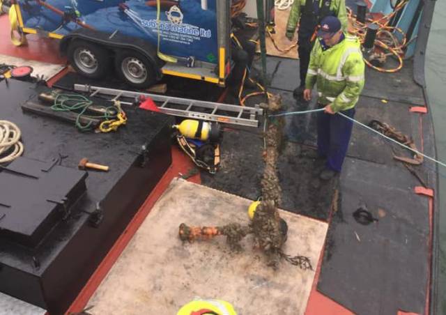 The anchor recovered near Warrenpoint this week