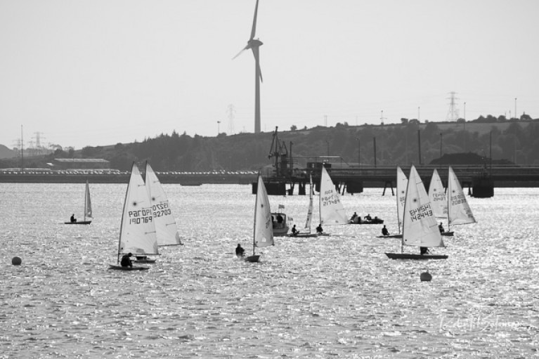 Laser dinghies racing at Monkstown in Cork Harbour - The Laser class has made amendments to its 2020 calendar