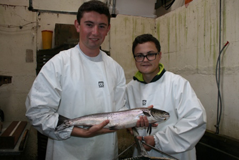 Fish stock assessment bursars Paul Brady and Conor Conway at the Salmon Leap fish trap in Newport in July 2019