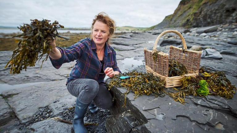 ‘Burren Bags’ &amp; Beach Clean-Ups, How a Co Clare Community Inspired Sustainable Tourism Globally