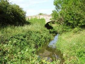An overgrown section of the Ulster Canal at Tyholland