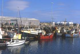 Trawler fleet moored at Ros a Mhil in Connemara.