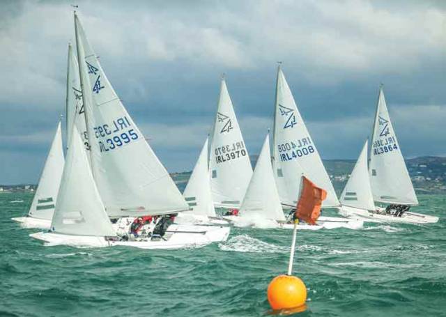 12 Flying Fifteens are ccontesting the NYC Frostbites on Dublin Bay