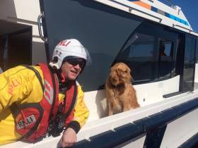 One happy dog in the care of Lough Ree RNLI after a cruiser grounded on the Long Shoal on Monday morning