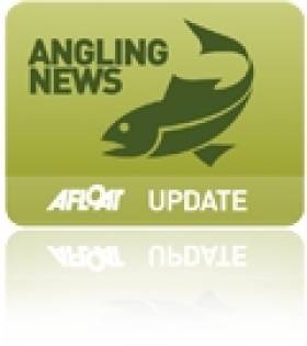 Trout and Coarse Angling is Free for All During Fisheries Awareness Week