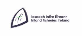 Inland Fisheries Ireland Confirms Fish Kill On Royal Canal