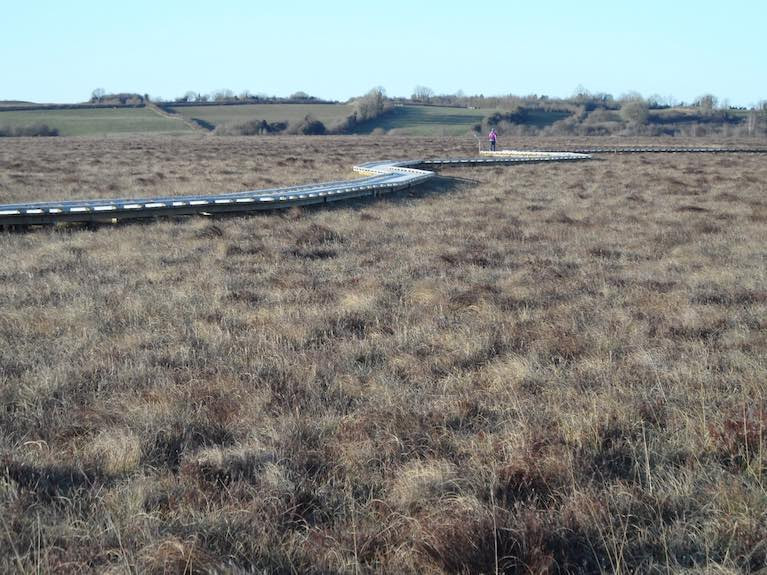 Ireland's Ramsar sites, such as Clara Bog above, are important for their variety of wetlands habitats, for wintering and breeding birds and for plants, mammals and invertebrates