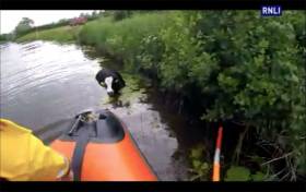 Carrybridge Lifeboat Rescues Cow In Distress