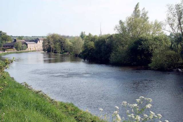 The River Barrow at Bagenalstown, Co Carlow