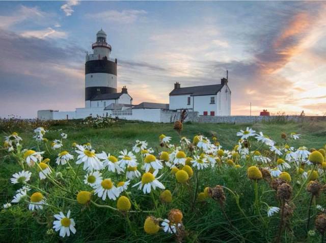 Good morning to the weekend and also for the May Bank Holiday's 'Great Lighthouse, Great Fun' photographic competition to capture the best of summer fun at one of their great lighthouses.