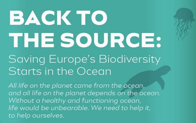 Back to the Source: Saving Europe's Biodiversity Starts in the Ocean 