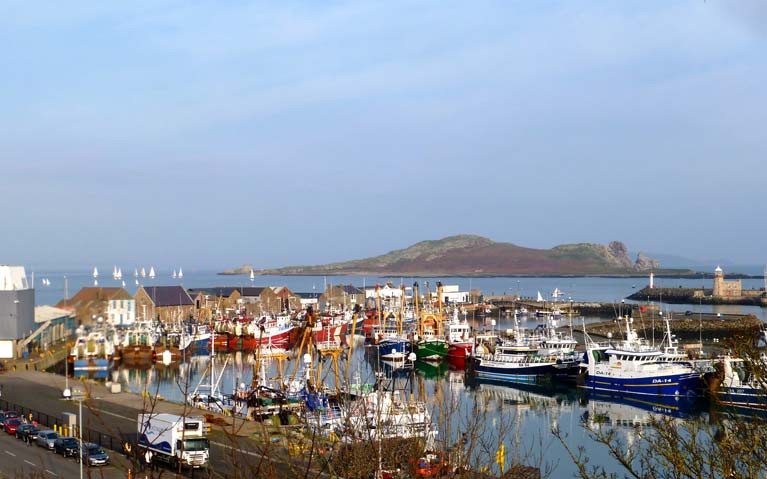 Maritime Ireland. Howth Harbour on New Year’s Day 2020, with the local fishing fleet augmented by the well-kept Clogherhead fleet from Port Oriel, a small but very busy fishing port which doesn’t enjoy the same total shelter that Howth provides for the mid-winter break. The sails in the Sound inside Ireland’s Eye belong to cruisers and Lasers celebrating the first day of Howth YC’s 125th Anniversary Year