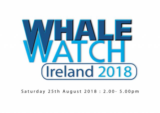 All-Ireland Whale Watch Day Is A Week Away