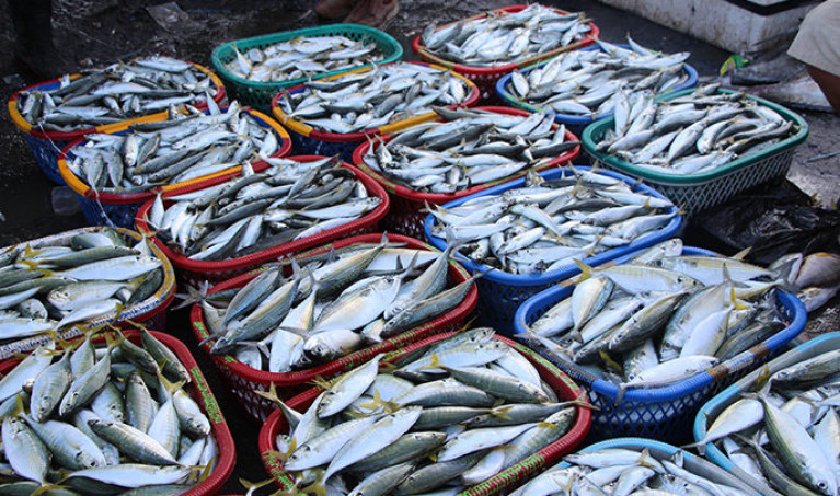 Most “excess tonnage” of fish has been caught by Britain, Denmark and Spain – at 1.78M tonnes, 1.48M tonnes and 1.04M tonnes respectively – over two decades, the report says