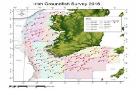Marine Notice: Annual Groundfish Survey Off South &amp; West Coasts